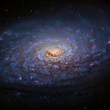 Github Serena Chamoun Material Template - Premium Dark Wallpaper Gallery - Retina