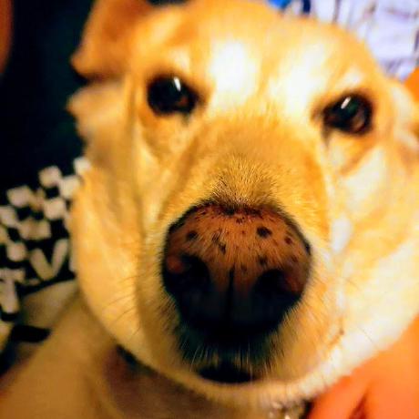 Github Airplanegobrr Txadmin Api Unofficial - High Quality Ocean Pattern - 8K