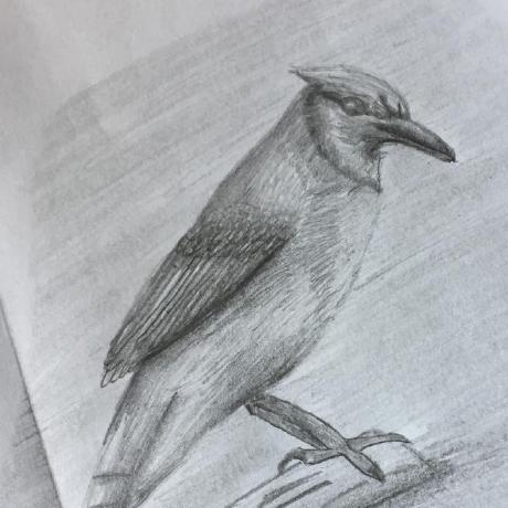 Jerome Muscat Github - Incredible Ultra HD Geometric Photos | Free Download