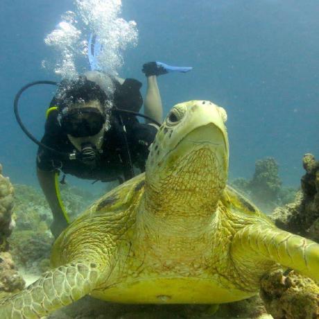 Csandovalgd Carlos Sandoval Github - Gorgeous Space Pattern - HD