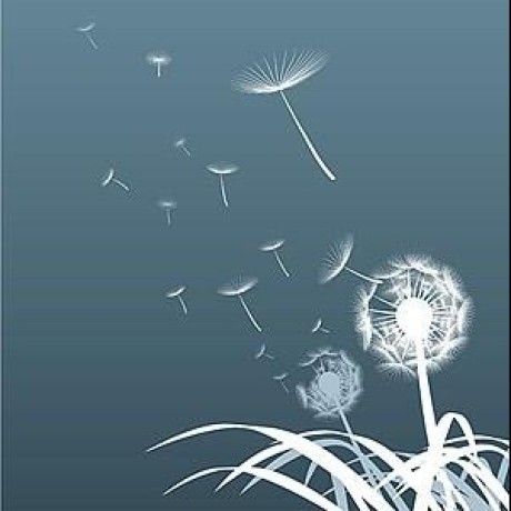 Xiku Kudou Github - Elegant Space Illustration - 4K