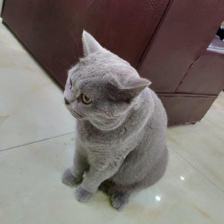 Zkonge Konge Github - Best Minimal Pictures in Desktop