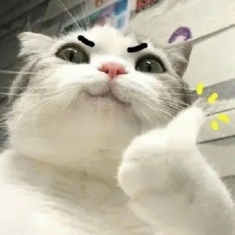 Johnshall Johnshall Github