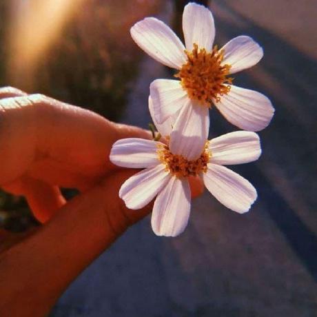 Israarefaat Esraa Refaat Github - Download High Quality City Illustration | Mobile