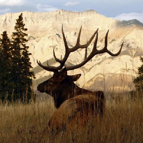 Gsvance Greg Vance Github - Best Colorful Textures in 4K