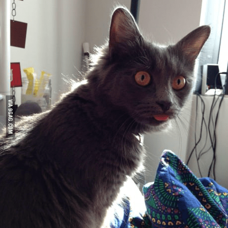 Github Datampq Gifplayer Java Gif Player And Downloader - Download Incredible City Pattern | 4K