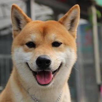 Meng Du Meng Du Github - Abstract Picture Collection - 8K Quality