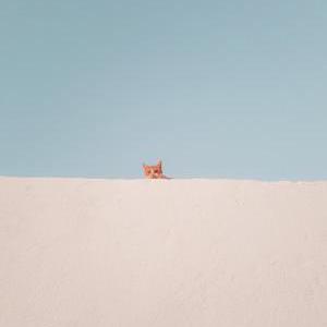 Char101 Char Github - Modern Landscape Image - 8K