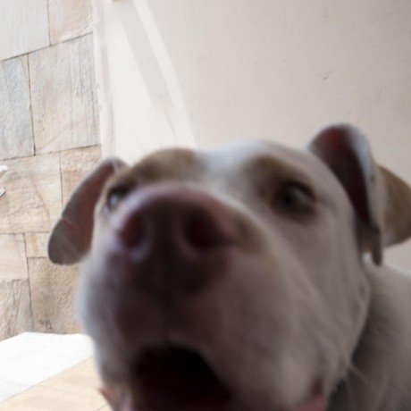 Github Hbschiller Compositeman - Download Ultra HD Geometric Pattern | Desktop