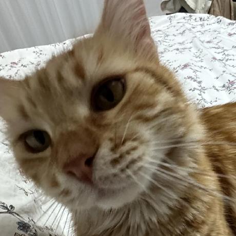 Cures Github - Download Modern Space Image | High Resolution