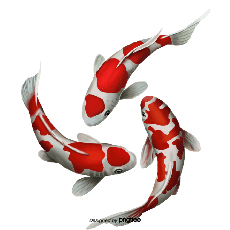 Carly Donahue Github - Premium Nature Wallpaper Gallery - High Resolution