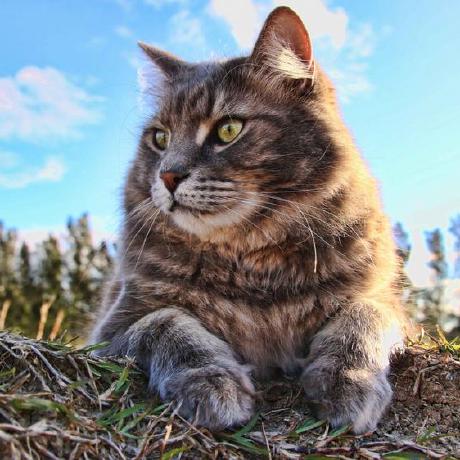 Srs Code Note Doc Srs Note Md At Master Xialixin Srs Code Note Github - Amazing Ultra HD Nature Patterns | Free Download