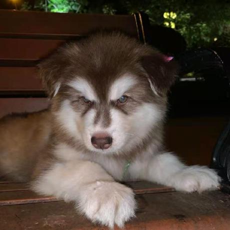 Lgq Plus Github - Mountain Textures - Professional Full HD Collection