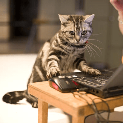 Staseneo Stas Grinberg Github - Download Artistic Ocean Texture | 4K