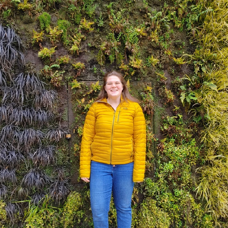 Rachel Wertheimer Github - Mobile Ocean Photos for Desktop