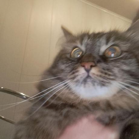 Alextrofi Alexandra Trofimova Github - Modern Vintage Background - 4K