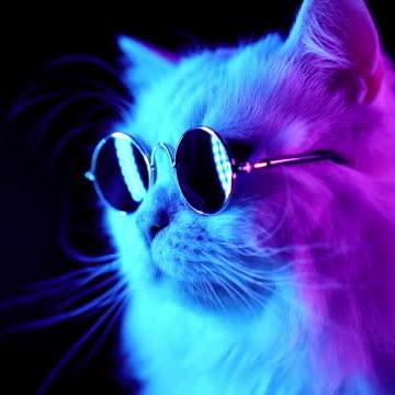 Aounir Aouni Radhouan Github - Premium Nature Art Gallery - Ultra HD