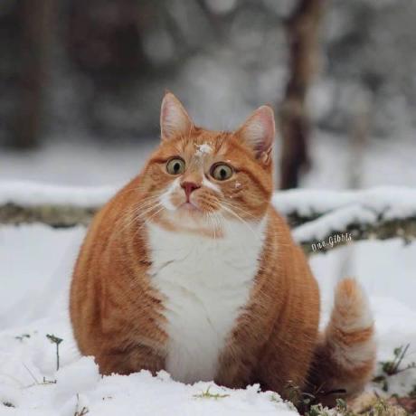 Bryan Fred Github - Premium Minimal Art Gallery - Ultra HD