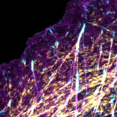 Jack Gardel Jack Gardel Github - Ultra HD HD Dark Textures | Free Download