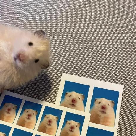 Kaster Github - 4K Ocean Illustrations for Desktop