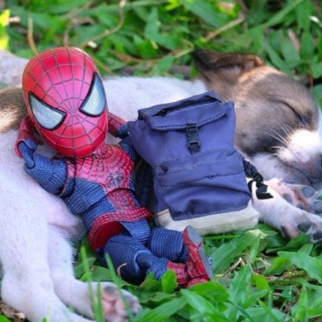 Daniel3579 Daniel Github - Download Modern Minimal Pattern | 4K