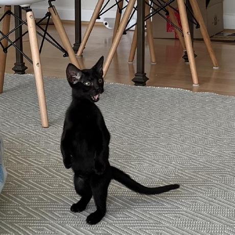 Wlsmith42 Weston Smith Github - Artistic Mountain Pattern - Retina