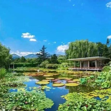 Github Wengensheng Teco Teco Model - Best Dark Illustrations in 8K