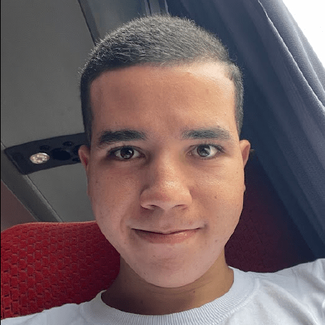 Vpradoc Vinicius P Carneiro Github