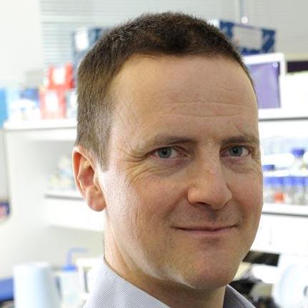 Github Paul Brennaman - Premium Light Photo Gallery - High Resolution