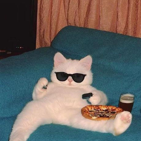 Fb Sean Sean Sattler Github