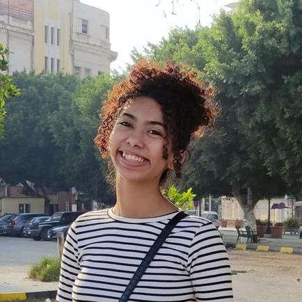 Mayarhamed Mayar Hamed Github - Best Gradient Illustrations in 8K