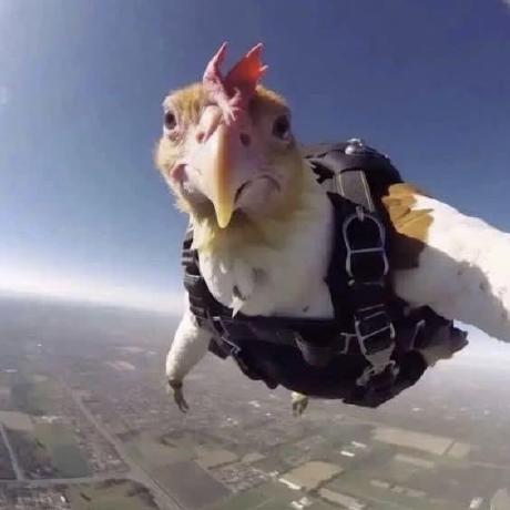 Shamussmith Shamus Github - Best Colorful Designs in Mobile