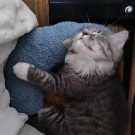 Rmurray159 Rachel M Github - Gorgeous HD Minimal Textures | Free Download