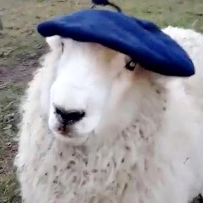 Mizero Eloi Github - Premium Minimal Image Gallery - Full HD