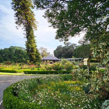 Shul Github - Sunset Arts - Modern Retina Collection