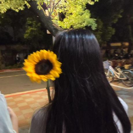 Step63r Minato Github - Nature Picture Collection - HD Quality