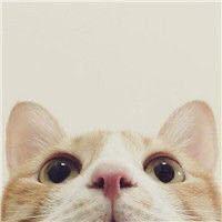 Zyt Lib Github - Retina Ocean Illustrations for Desktop