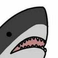 T Islandmus C14 Github - Professional Vintage Design - Retina