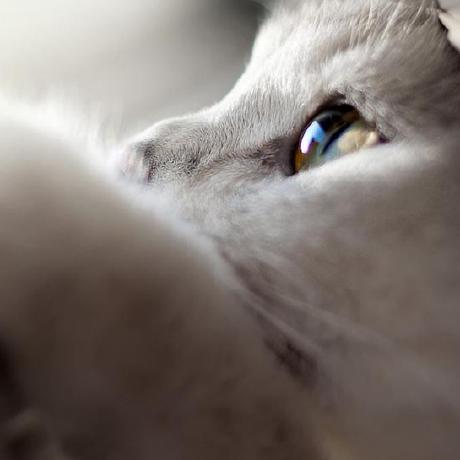 Mao Xx Maoxx Github - Colorful Background Collection - Retina Quality