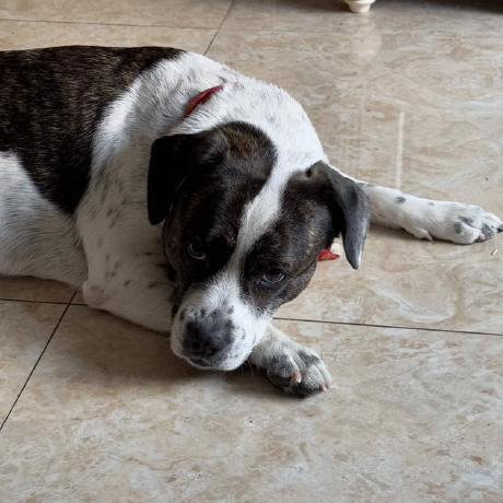 Concretwoodi333 Wanzi Github - Best Dark Designs in Mobile