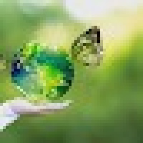 Mallika 24 Github - Ultra HD Full HD City Wallpapers | Free Download