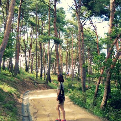 Github Jieunkim Econ Data Analysis Portfolio This Repository Curates - City Illustrations - Perfect Mobile Collection