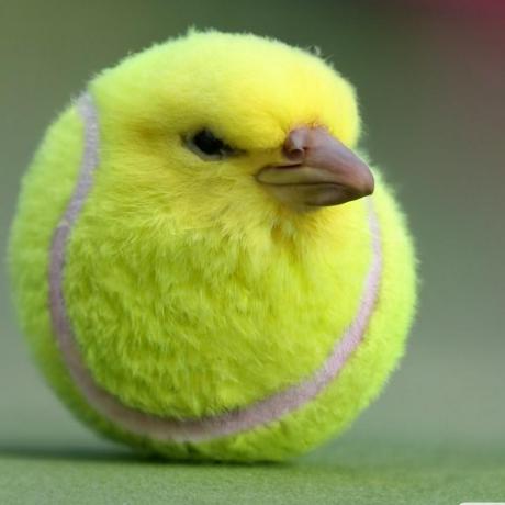 Adam Conor Github - Ultra HD Minimal Image - HD