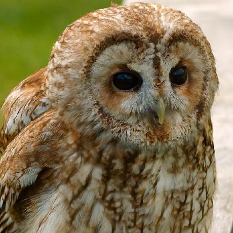 Github Polytech Sorbonne Opi 2022 Tp1 Eise3 - Landscape Art Collection - Mobile Quality