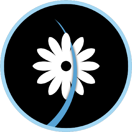 Miharisoarakotonirina Miharisoa Rakotonirina Github - Premium Geometric Pattern Gallery - High Resolution