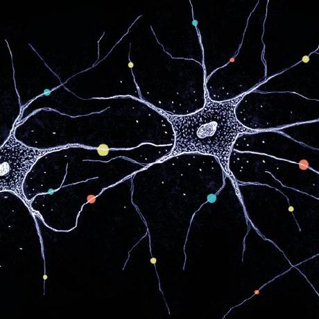 Github Cabooster Utom Unsupervised Content Preserving Transformation - Light Images - Classic Retina Collection