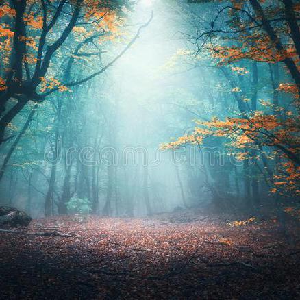 Sinbad Steve Streeting Github - Landscape Designs - Creative Desktop Collection