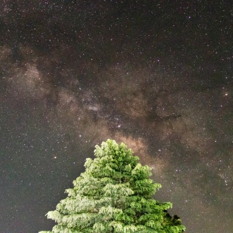 Samar X 007 Samar Pratap Singh Github - Elegant Full HD Nature Pictures | Free Download