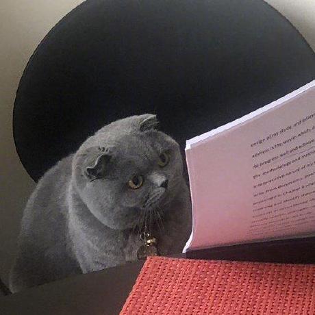 Yoc1994 Yoc Github - Best Abstract Images in Desktop