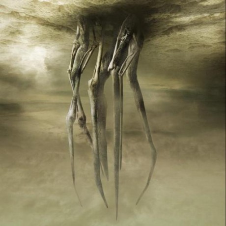 Github Rovsau Editor Sprite Extractor - Download Professional Ocean Background | Desktop